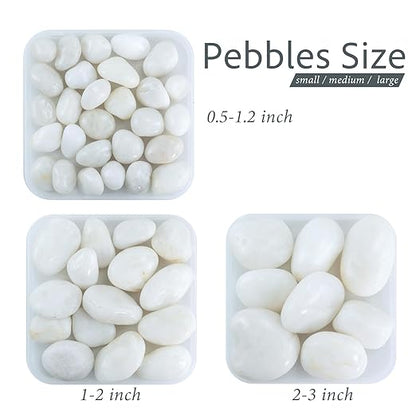 Pebbles for Indoor Plants, 2lbs White Pebbles 1-2 Inch Decorative River Rocks for Planters, High Polished Stones for Vase Filler Fish Tank Landscaping Garden