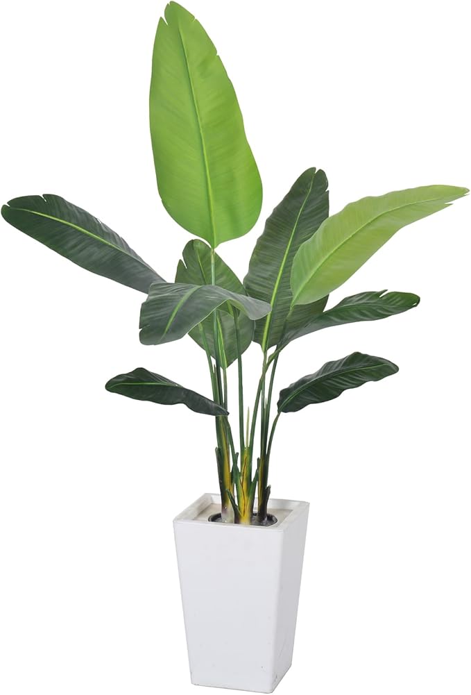 Bird of Paradise Plant Artificial 5ft,Faux Plants Indoor with White Planter,Fake Tree with Lifelike Leaves,The Perfect Indoor Silk Floor Plant for Home、Hallway and Office Decor
