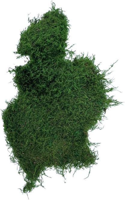 Preserved Sheet Moss - Natural Decorative Moss - Dried Moss for Crafts, Home Decor, Art, Design & DIY Projects - Non-Toxic - Green - Small