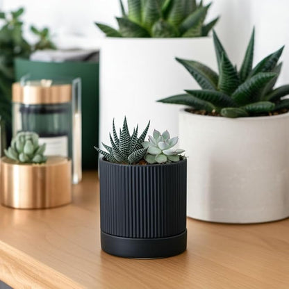 Small Plant Pots, 4 Inch Pots for Indoor Plants, Modern Minimalist Ceramic Plant Pots with Drainage Hole & Saucer, Matte Black Set of 2