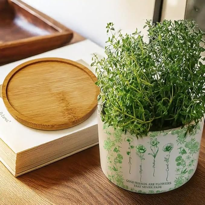 Personalized Ceramic Plant Pot - Toile De Jouy Birth Flower Grow an Old Friend - Trendy France-China Inspired Design - Christmas Birthday Gift for Girl Friends Besties BFF Best Friend