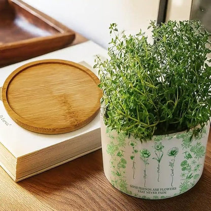 Personalized Ceramic Plant Pot - Toile De Jouy Birth Flower Grow an Old Friend - Trendy France-China Inspired Design - Christmas Birthday Gift for Girl Friends Besties BFF Best Friend