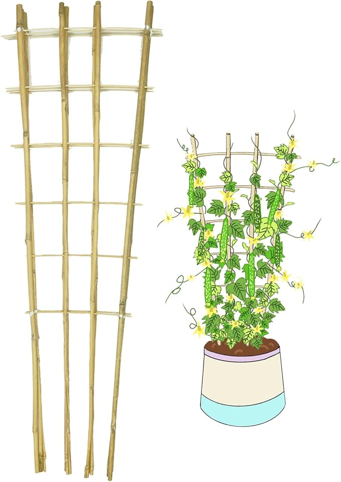 Natural Bamboo Trellis, 4Feet,6Pack,Fan-Shaped Plant Support Trellis for Outdoor and Indoor Potted Climbing Plants,Vegetables, Cucumber, Tomato, Hoya,