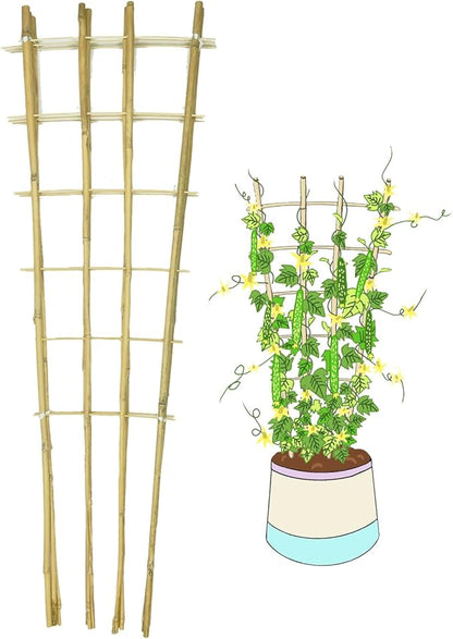 Natural Bamboo Trellis, 4Feet,6Pack,Fan-Shaped Plant Support Trellis for Outdoor and Indoor Potted Climbing Plants,Vegetables, Cucumber, Tomato, Hoya,