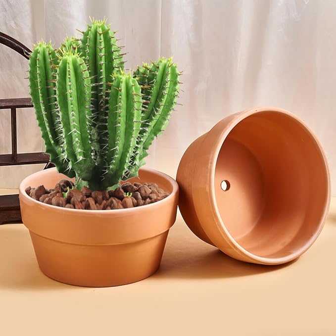 8 Inch Shallow Terracotta Pot for Succulent - 2 Pcs Large Clay Planter Pots with Drainage Hole, Shallow Plant Pottery Pots for Cactus Succulent and Other Indoor Outdoor Plants