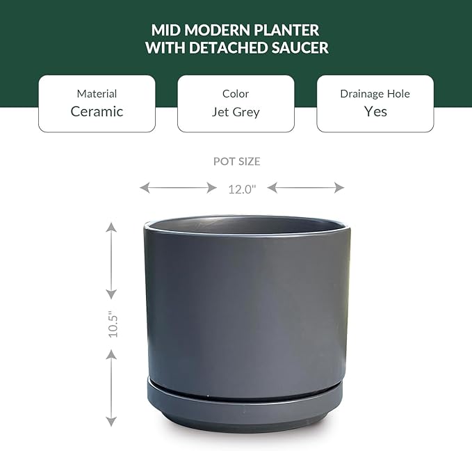 PLANTATOREM Ceramic 12 Inch Mid Modern Planter Pot with Drainage Hole and Saucer, Indoor Cylinder Round Flower Pot, Perfect for Planting Succulents, Herbs, Flowers, House Plants, Jet Grey