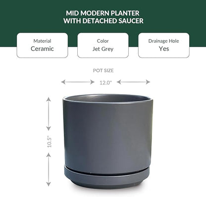 PLANTATOREM Ceramic 12 Inch Mid Modern Planter Pot with Drainage Hole and Saucer, Indoor Cylinder Round Flower Pot, Perfect for Planting Succulents, Herbs, Flowers, House Plants, Jet Grey