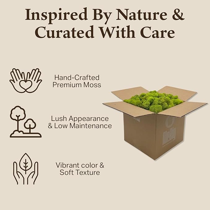 Preserved Reindeer Moss - Moss for Crafts, Home Decor, Art, Design & DIY Projects - Non-Toxic - USA Made (Chartreuse, Standard Box)