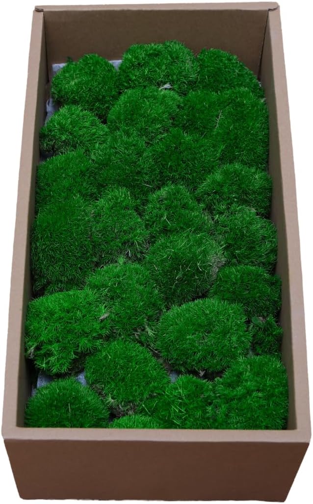 Preserved Moss for DIY Crafts - 1.5 sq.ft Natural Dried Moss for Terrarium, Fairy Garden, Home Decor, Wall Art, Floral Arrangements - Flexible Real for Creative Projects, Dark Green