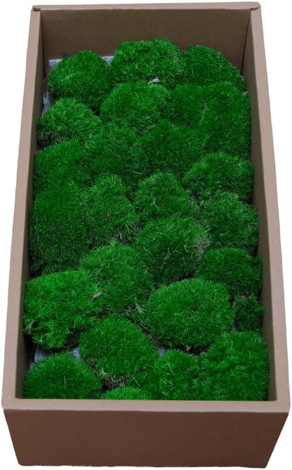 Preserved Moss for DIY Crafts - 1.5 sq.ft Natural Dried Moss for Terrarium, Fairy Garden, Home Decor, Wall Art, Floral Arrangements - Flexible Real for Creative Projects, Dark Green