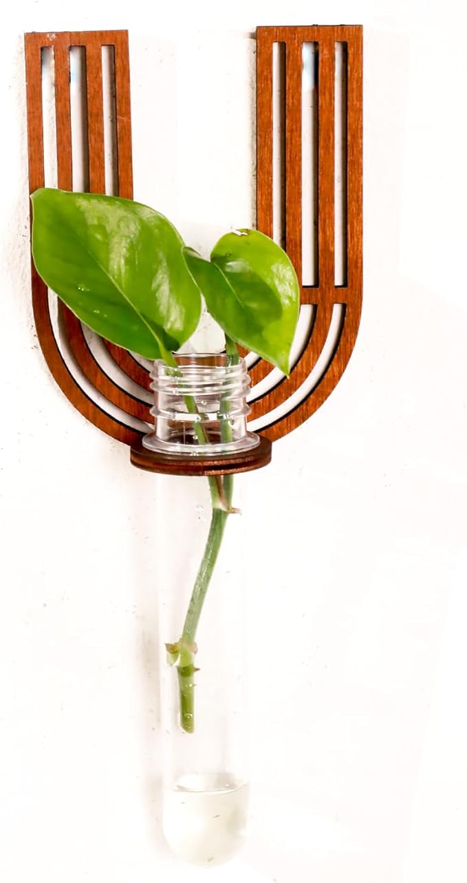 Wood Letter Wall Planter Terrariums Propagation Station with Test Tube Clear Flower Vase for Hydroponics Custom Vertical Garden Walnut DIY Home Decor Hanging Plant Holder Alphabet