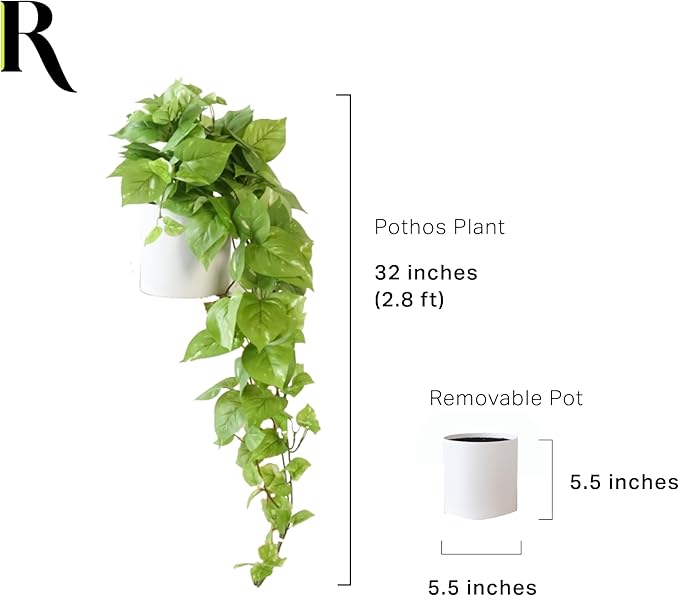 Retrograde 32" Realistic Fake Pothos Ivy Plant for Home Decor Indoor Silk Artificial Plant Large (Light Green)