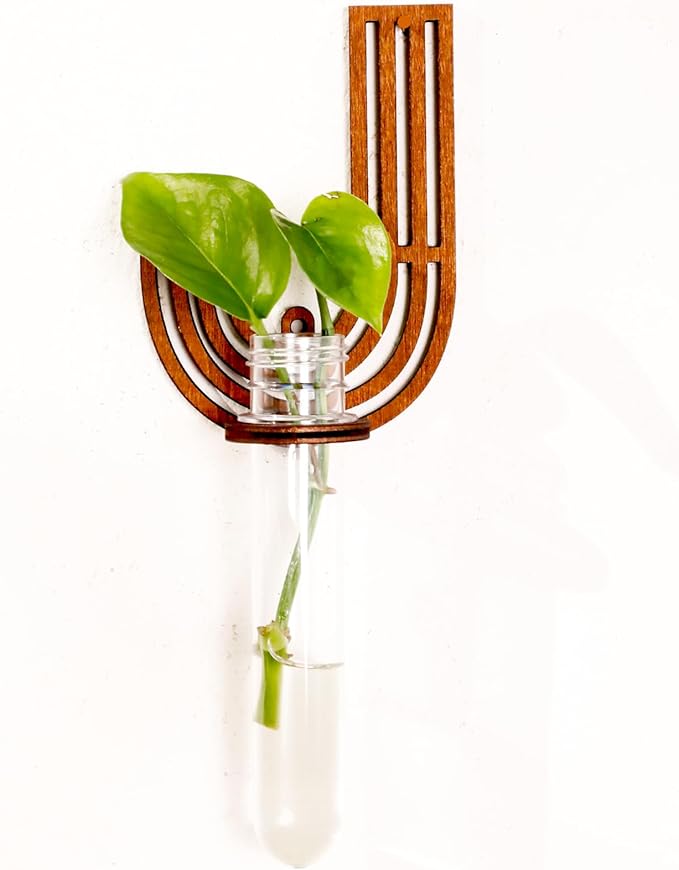 Wood Letter Wall Planter Terrariums Propagation Station with Test Tube Clear Flower Vase for Hydroponics Custom Vertical Garden Walnut DIY Home Decor Hanging Plant Holder Alphabet