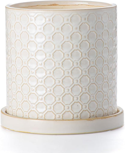 6 Inch Plant Pot: Ceramic Planter with Drainage Hole & Saucer Indoor Outdoor Plants - Cylinder Round Flower Pot for Home Office - Modern Decorative - Small White