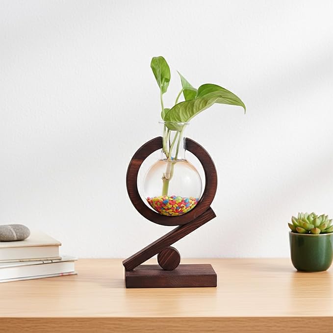 Plant Terrarium with Wooden Stand Glass Bulb Planter Propagation Station for Home Office Garden Plants Display Desk Decorative Ornament