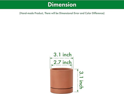 D'vine Dev XX-Small 3 Inch Terracotta Plant Pot with Drainage Hole and Saucer, Round Cylinder Planter Pot for Indoor Plants, Set of 2, 40-X-B-0