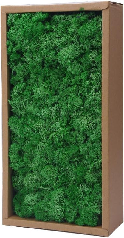 Preserved Reindeer Craft Moss-17.6oz Natural Green DIY Kit Gardenning Art Wall Florist Moss Terrariums Gardenning Decor Landscape Garden Decor(Leaf Green 17.6 OZ)