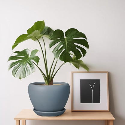 Ceramic Pot for Plants - 6 Inch Plant Pot Indoor with Drainage Hole and Saucer Decorative Planter for Outdoor Plants Modern Succulent Pots Round Flower Pots Gray