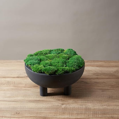 Preserved Pole Moss Pillow Bun Cushion Natural Green Decorative Real Natural DIY Kit Gardenning Art Wall Decor Florist Easter Table Decor Wedding(1.5 sq.ft, Green-C)
