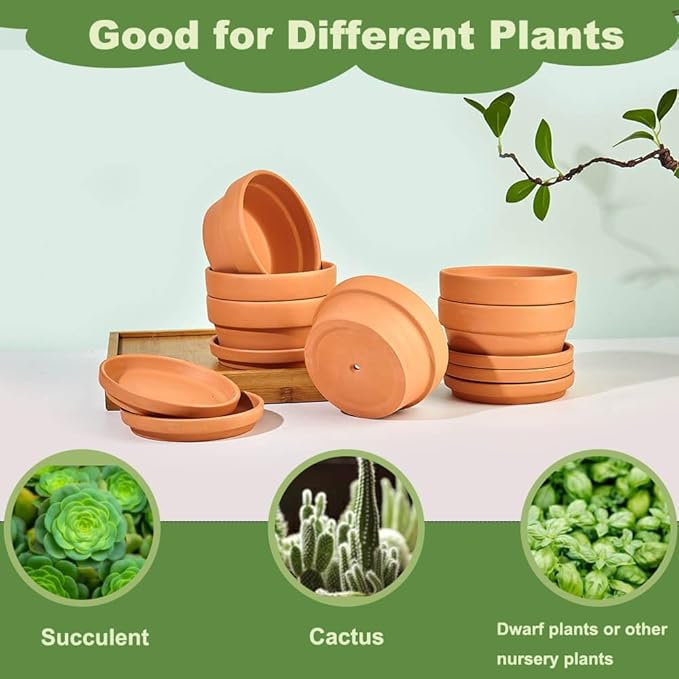 Small Shallow Terracotta Pot for Succulent - 6 Pcs Clay Planter Pots with Drainage Hole and Saucer, 5 Inch Shallow Plant Pottery Pots for Cactus Succulent and Other Indoor Outdoor Plants