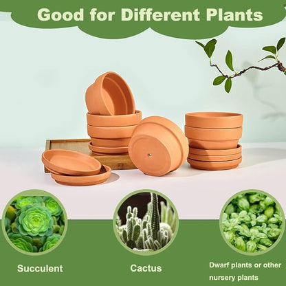 Small Shallow Terracotta Pot for Succulent - 6 Pcs Clay Planter Pots with Drainage Hole and Saucer, 5 Inch Shallow Plant Pottery Pots for Cactus Succulent and Other Indoor Outdoor Plants