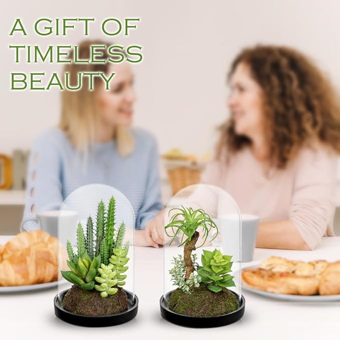 Set of 2 Artificial Succulents Plants in Glass Dome with Featuring Sand Moss, Small Fake Cactus Plants Faux Plants Indoor Decor for Home Office Table Desk Shelf Room Hostess Gift
