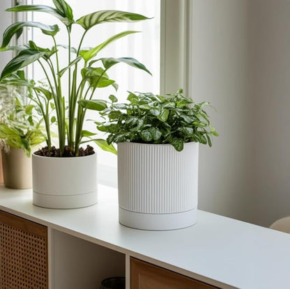 6 Inch Ceramic Plant Pot with Drainage & Saucer - Indoor Planter for Succulents, Cacti & Aloe Vera - Striped Design, High-Temp Fired Clay, Lightweight Modern Decor White