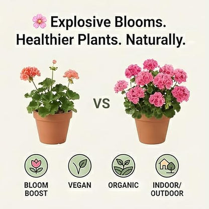 BuildASoil Vegan Bloom Booster & Flower Fertilizer - Plant Food for Organic Hydrangea, Roses, Hibiscus, and Vegetables - Natural Soil Flower Food - Best Fertilizer for Vegetable Garden - 5 LB Bag