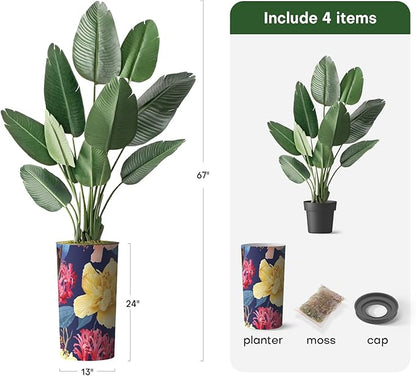 Artificial Tree in Contemporary Planter, Fake Bird of Paradise Silk Tree for Indoor and Outdoor Home Decoration - 67" Overall Tall (Plant Pot Plus Tree)
