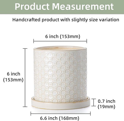 6 Inch Plant Pot: Ceramic Planter with Drainage Hole & Saucer Indoor Outdoor Plants - Cylinder Round Flower Pot for Home Office - Modern Decorative - Small White