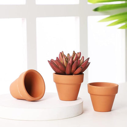 Yishang 1.9 Inch Tiny Terracotta Pots Pack of 36-Small Mini Clay Pots with Drainage Holes Flower Nursery Terra Cotta Planter for Tiny Cactus Herb lithop,Succulent Plants,Crafts,Wedding Favor