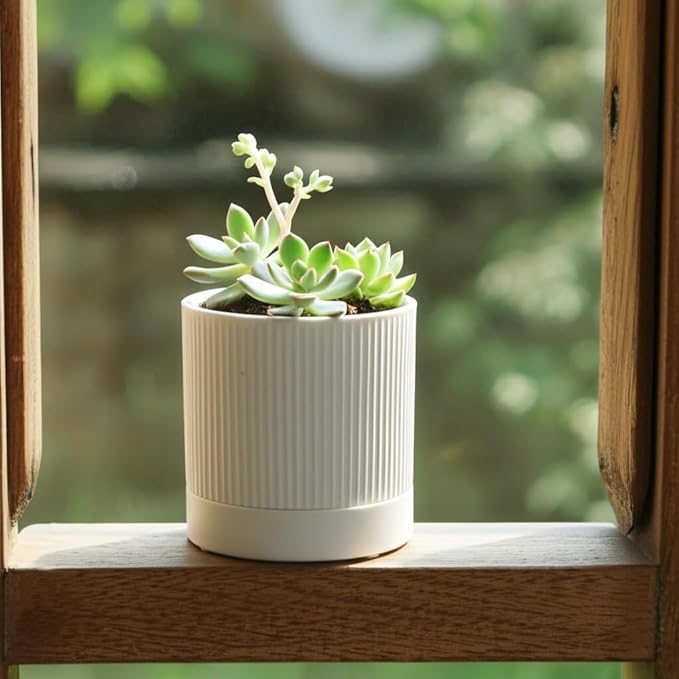 Small Plant Pots, 4 Inch Pots for Indoor Plants, Modern Minimalist Ceramic Plant Pots with Drainage Hole & Saucer, White Set of 2