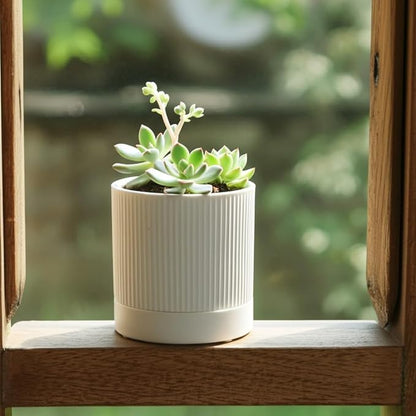 Small Plant Pots, 4 Inch Pots for Indoor Plants, Modern Minimalist Ceramic Plant Pots with Drainage Hole & Saucer, White Set of 2