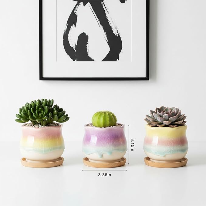 6 Pack Ceramic Succulent Planters, 3.54" W × 3.35" H Gradient Crackle Glaze Flower Pots for Succulents, Cacti, Small Plants, Creative Gardening Decorative Planter Containers
