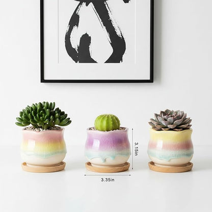 6 Pack Ceramic Succulent Planters, 3.54" W × 3.35" H Gradient Crackle Glaze Flower Pots for Succulents, Cacti, Small Plants, Creative Gardening Decorative Planter Containers