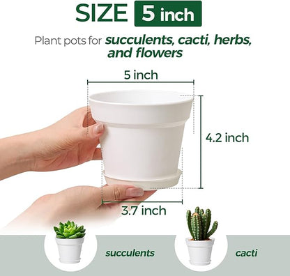 T4U 5 Inch Plant Pot 8-Pack, Plastic Pots with Drainage Hole and Saucer, Decorative Flower Pots Bulk for African Violet, Snake Plant, Succulent and All House Plants Indoor (8pcs 5" Pots, White)