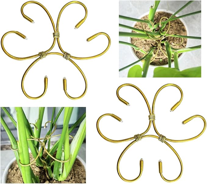 2PCS 6" Plant Stem Support,Stabilizer Grapple Holder for Monstera and Climbing Plants,Reusable Flower Plant Support,Leaf Stabilization and Support for Thriving Growth.