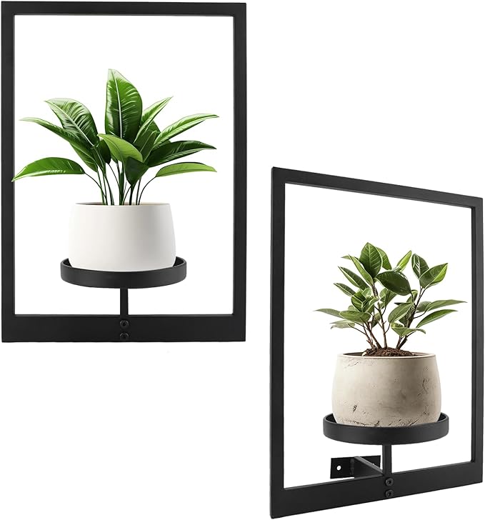 Gugxiom 2 Pack Picture Frame Wall Plant Holder, Metal Plant Wall Frame, Window Shelf for Plants,Plant Frames for Wall, for Living Room Bedroom Bathroom Garden Patio