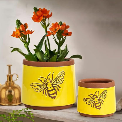 YBX Terracotta Pots Inch with Drainage Holes, Bee Decor, Ceramic Pots for Indoor Plants Flower Pots Outdoor, Succulent, Herbs, Snake Plants (Yellow, 6+4 Inch)