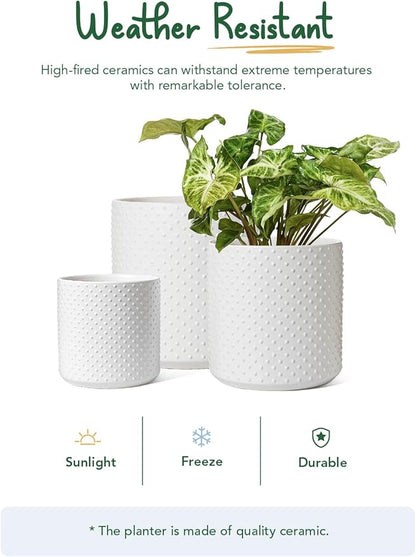 LE TAUCI Ceramic Plant Pots Indoor, 10+8+6 Inch Planters for Indoor Plants, Raised Dots Flower Pots with Drainage Hole and Plug, Cylinder Round Planters, Set of 3, White