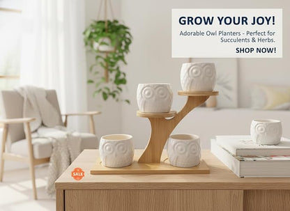 Blisse Wood Owl Planter (White)