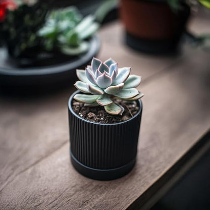 Small Plant Pots, 4 Inch Pots for Indoor Plants, Modern Minimalist Ceramic Plant Pots with Drainage Hole & Saucer, Matte Black Set of 2