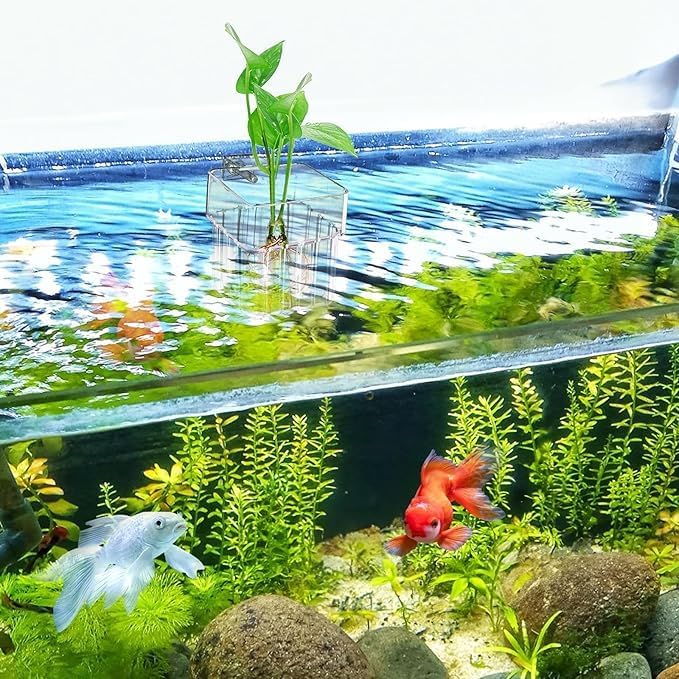 Brainy 6 Pack Top Hanging Fish Tank Plant Pot Aquarium Plant Holder Acrylic Clear Hanging Aquarium Planter Cups with Hole Top Fish Tank Plant Cup Wall-Mounted Baskets (6PCS)