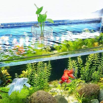 Brainy 6 Pack Top Hanging Fish Tank Plant Pot Aquarium Plant Holder Acrylic Clear Hanging Aquarium Planter Cups with Hole Top Fish Tank Plant Cup Wall-Mounted Baskets (6PCS)