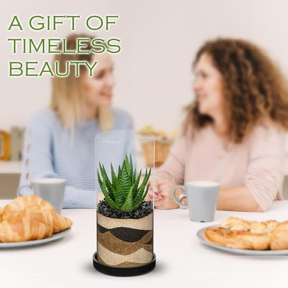 Artificial Succulent in Cylindrical Glass Vase Fake Aloe Plant with Modern Glass Terrarium for Home Decor Farmhouse Hostess Gift