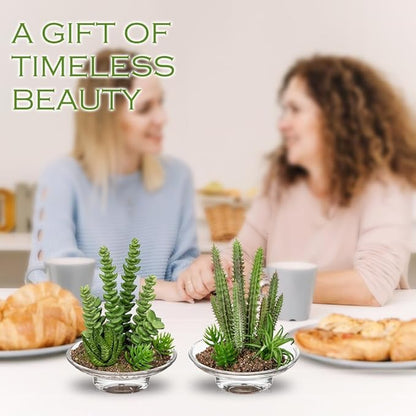 Set of 2 Succulents Plants Artificial cactus in Glass Pot with Realistic Featuring Sand Moss, Small Fake Succulents Plants Faux Plants Indoor for Home Office Desk Bathroom Shelf Living Room Decor