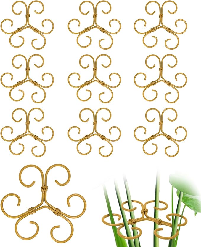 10Pcs Plant Stem Supports for Indoor Plants,2025 New Durable Adjustable Monstera Plant Stabilizer Support,Golden Climbing Plants Stabilization and Support Outdoor 4.1x4.1 inches(10PC-B)