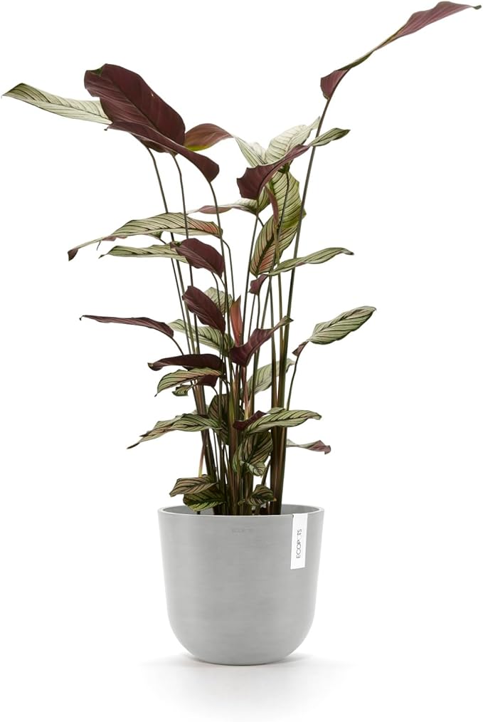 Ecopots Oslo Durable Modern Round Indoor/Outdoor Recycled-Based Composite Flower Pot Planter, White Grey, 10"