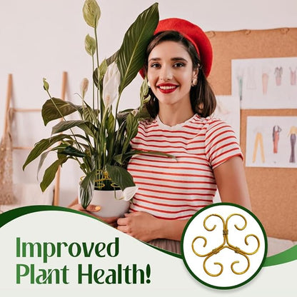 Monstera Plant Support Durable Stabilizer Grapple Holder,Plant Accessories Stable Plant Stem Support Stakes for Outdoor & Indoor Growing Climbing Plant Care Thriving Growth (1, Flower)