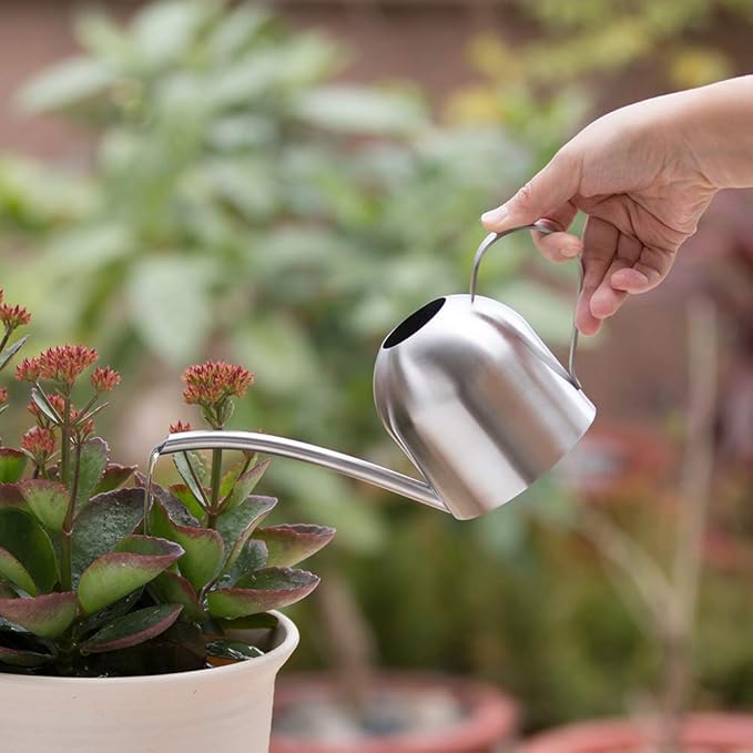 Stainless Steel Water Can for Indoor Plants and Garden (15 oz)